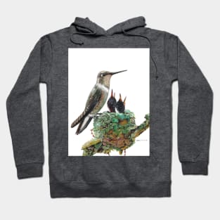 Hummingbird and babies Hoodie